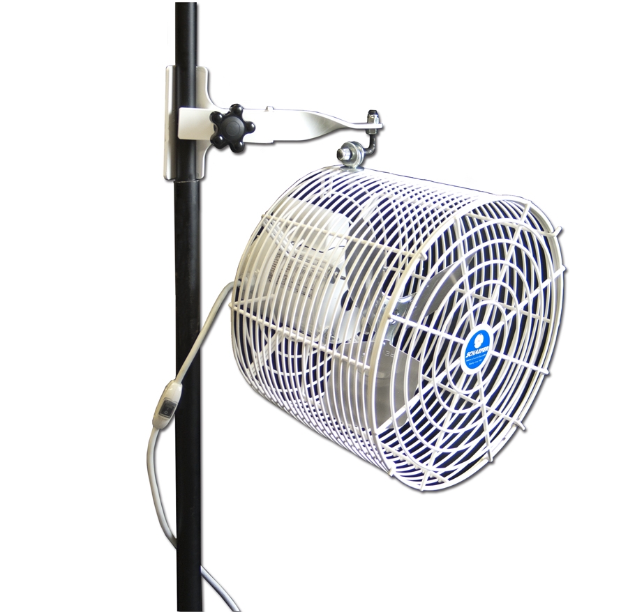12" Tent Fan with Pole Clamp